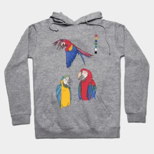 Parrots Hoodie